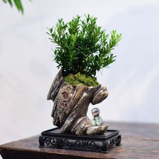 �ŵ��ʯ�^�ͱڻ����մ������쾰΢���^����͸�⸣����ֲ���辰��