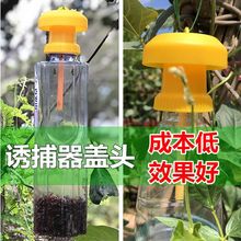 果蝇诱捕瓜果实蝇菜地果园防虫诱剂引诱剂内含盖头抓器药水针蜂