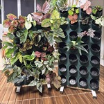 阳台种菜移动花架绿植墙植物墙户外落地花盆架子多层蔬菜种植架