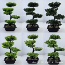 �羳����ӭ�����辰�ɰ��p���������ɷ����ɘ����Կ͏d���@�쾰