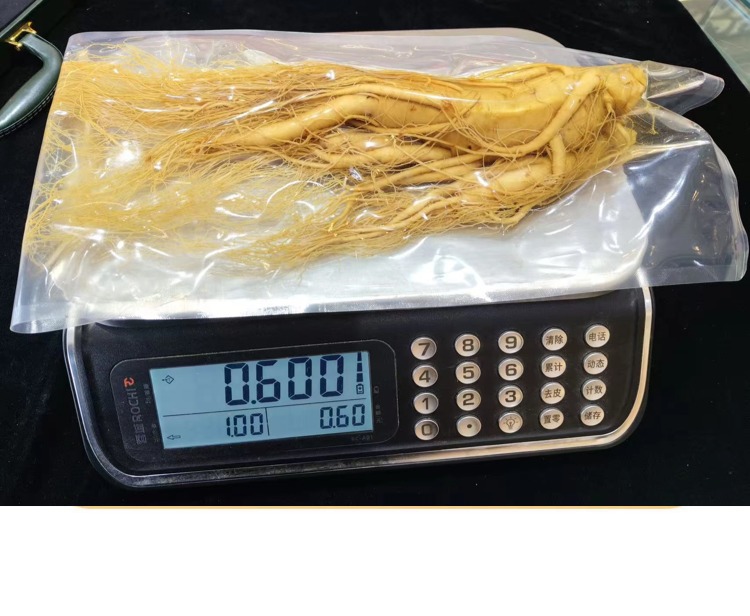 Fresh Northeast Ginseng Root Vacuum Packed Changbai Mountain Ginseng for Wine Soaking 20g quality and texture