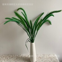 ��ɫ�ɻ���β����βDIY�ɻ������b羳���R�d�廨Դ�^�S�����l