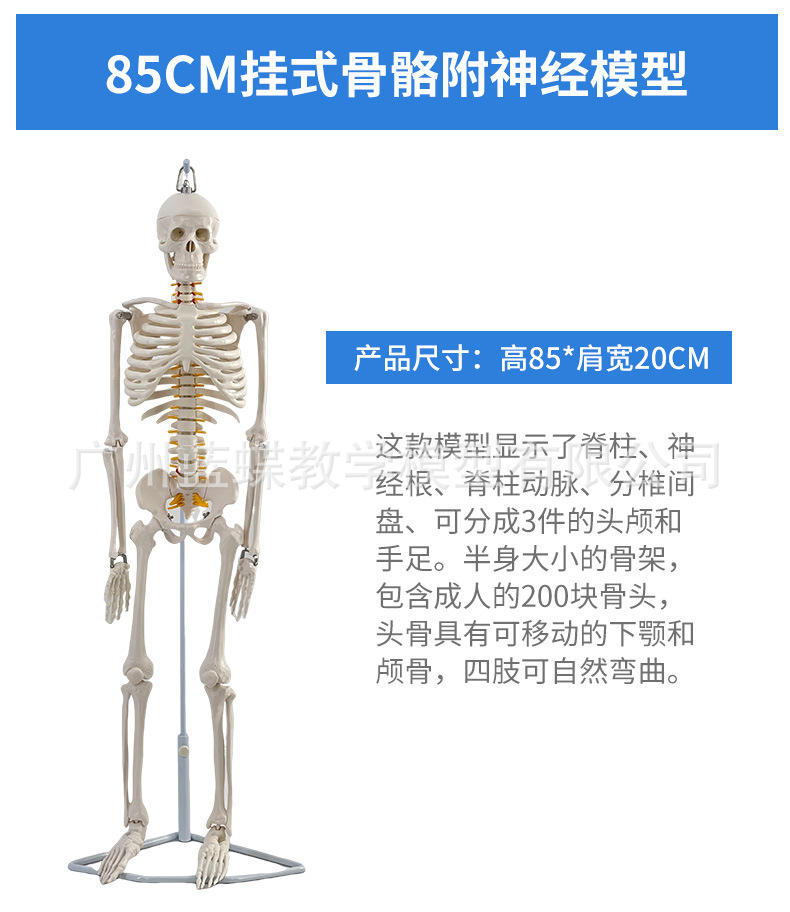 详情_15