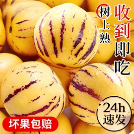 传统糕点;西式糕点;月饼