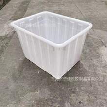 �B�T�L�����������D�Ӻ��ռ{�� ���ߴ����D��