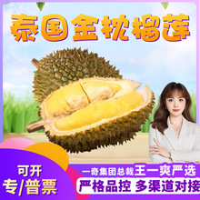�����x���M��̩�����ƽ�����ɏ ���l2/7����Ŵ������ɏA�����rˮ