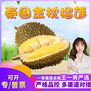 �����x���M��̩�����ƽ�����ɏ ���l2/7��ŴA�������������rˮ��