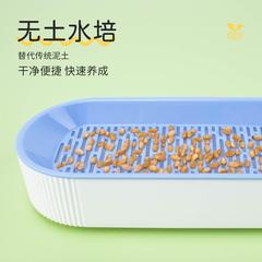 New Cross-border Cat Snack Cat Grass Planting Hydroponic Box Cat Grass Pot Hairball Removal Soilless Hydroponic Cat Grass Box Wholesale