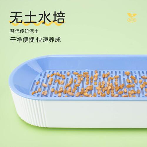 New Cross-border Cat Snack Cat Grass Planting Hydroponic Box Cat Grass Pot Hairball Removal Soilless Hydroponic Cat Grass Box Wholesale