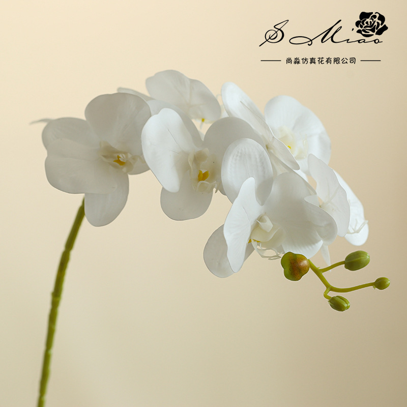 Da7 flores mariposa orquídea bonsai imitación de flores fabricantes directamente para decoración del hogar imitación de flores falsas en maceta ornamentos verdes image 16