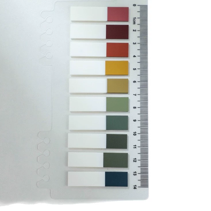Index Tabs Qiu Mang PET Retro Ruler Sticky Notes, 10-tabs marker labels, assorted covers