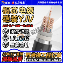 国标YJV22铠装电缆线1 2 3 4 5芯1.5~240平方铜芯电线插座电源线