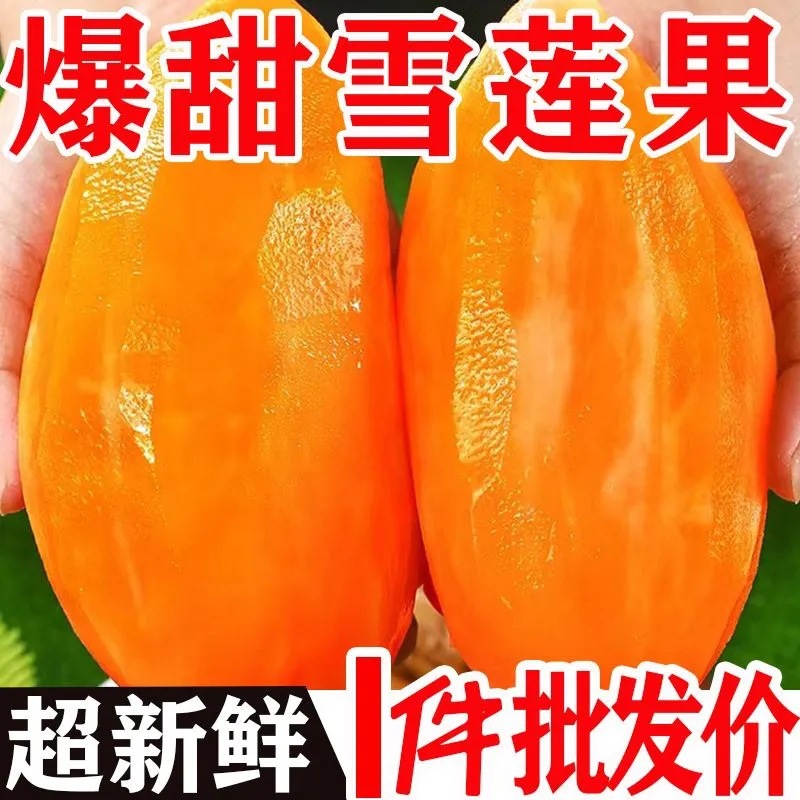 Yunnan天山snow lotus fruit fresh fruit斤seasonal整箱精选juicy red heart雪连果one yellow heartgrade