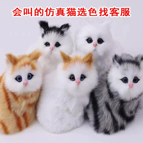 Simulation will be called cat