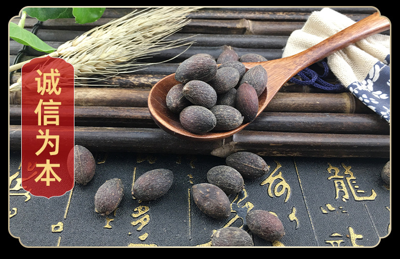 Dried Fan Palm Seeds Kui Shu Zi 葵树子 Bulk Chinese Herb 500g Sun Dried Guangxi in use