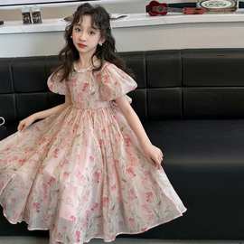 女童2024夏季新款韩版洋气儿童雪纺裙中大童短袖礼服公主裙连衣裙