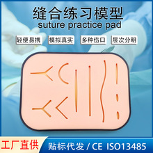 ����轺�����ϰģ�� ����Ƥ���˿� ҽѧ��ѵ�� ��װ ��ó�羳