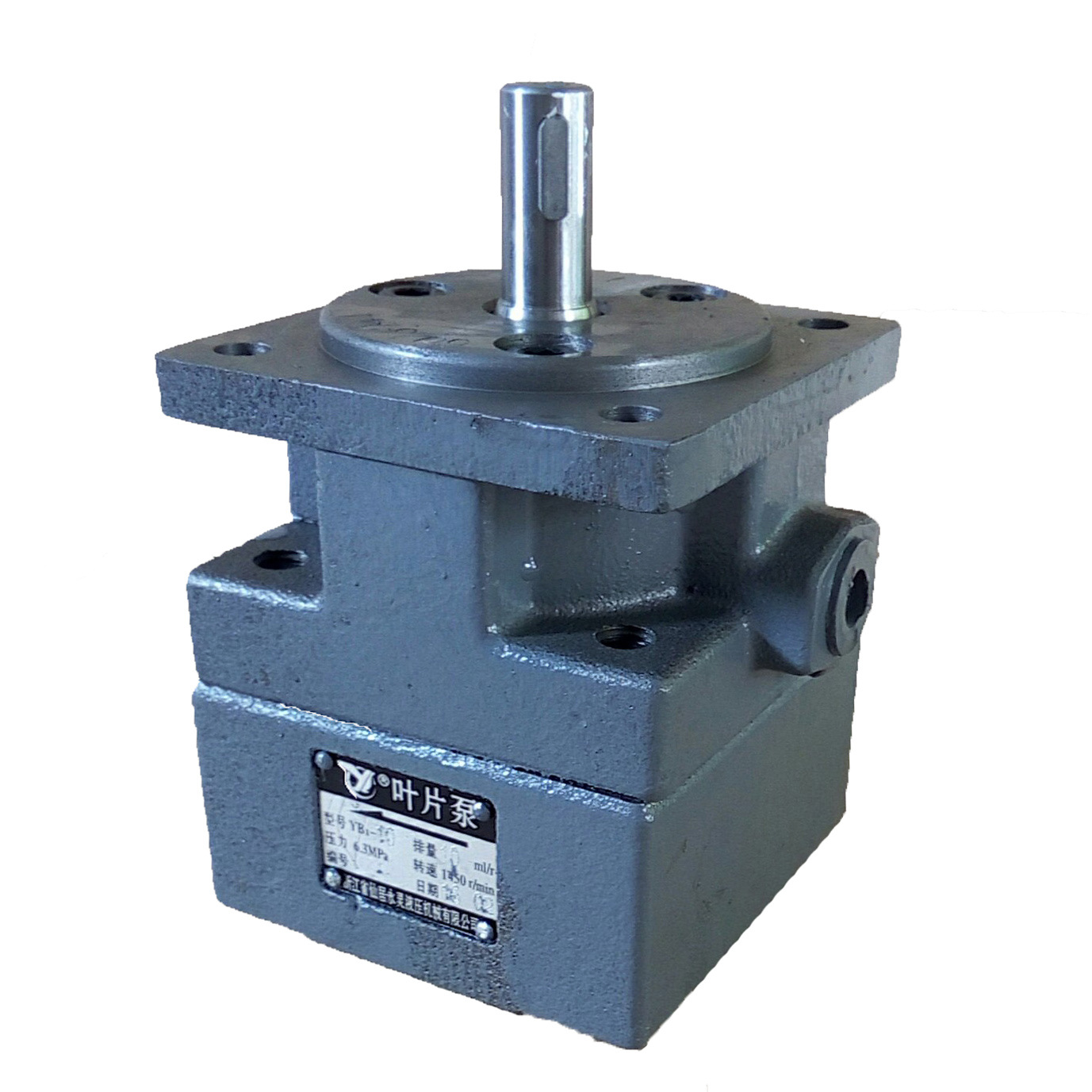 ��ݸ�������۾ⴲĥ����Һѹ��YB1-6.3 YB110ҶƬ��YLC���������