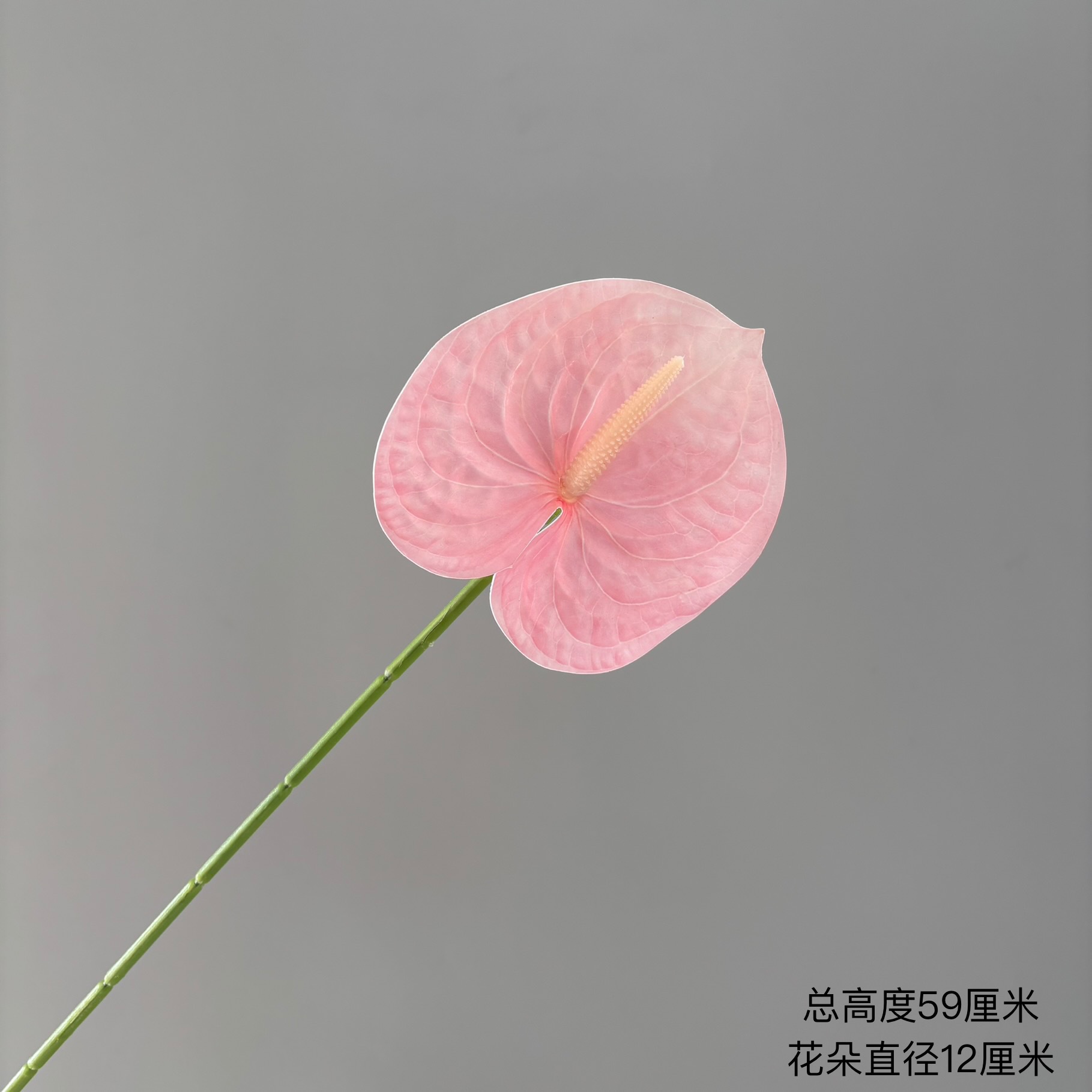 분홍색