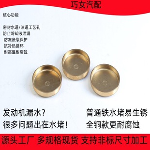 Expansion Plug �S�~ˮ�� ���̙Cе�l�әC����������