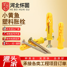 ÛݽzSֱÛ˨СS~ÛÛ֧