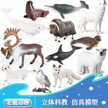 �羳���O�O�؄������b����ѩ�{ѩ�����O�����Z������L��ߔ[��