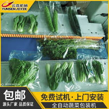 云森全自动生鲜蔬菜瓜果打包机食品商超小型三伺服枕式切封包装机