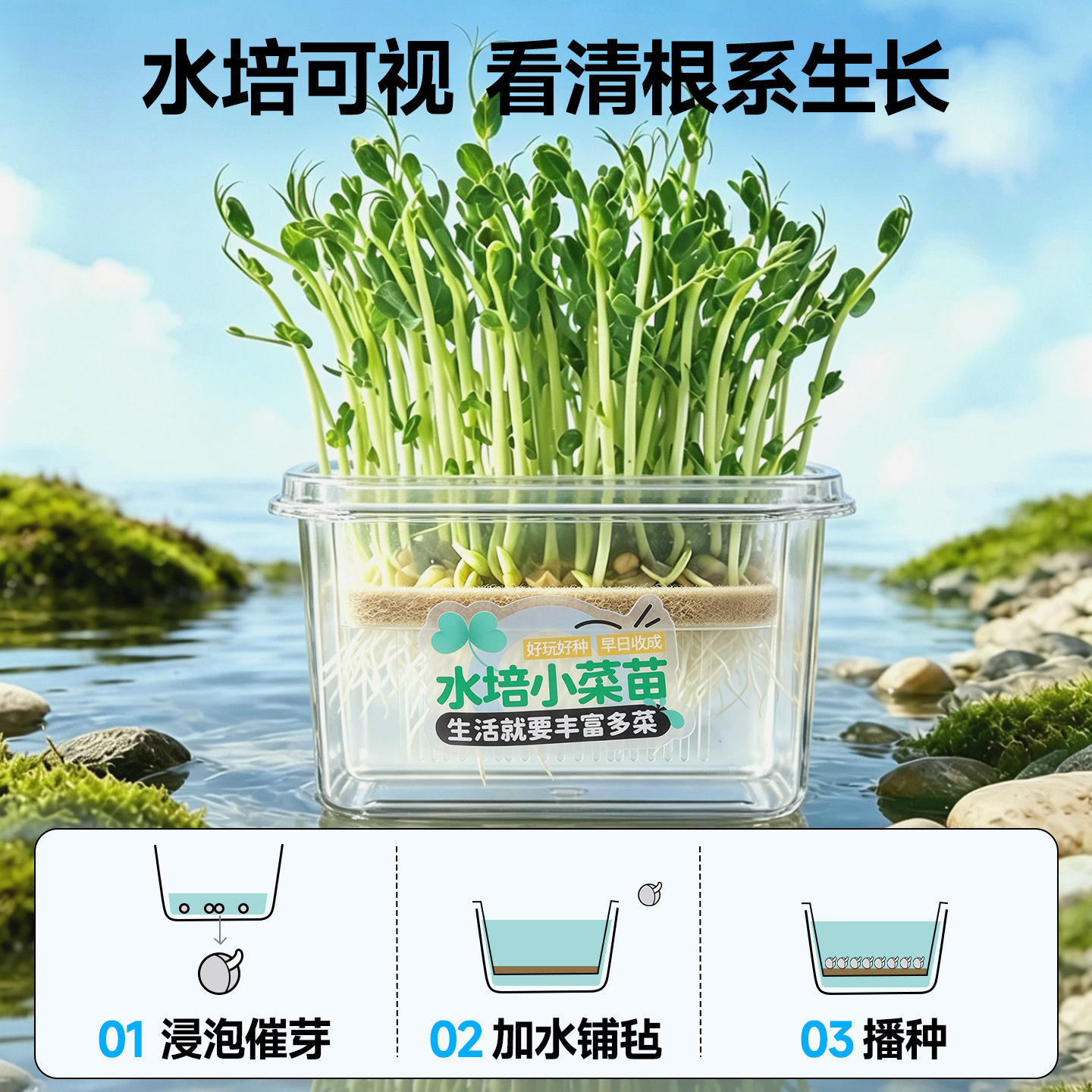 水培芽菜儿童学生益智科教玩具蔬果植物绿豆芽四季豆儿童种植盆栽
