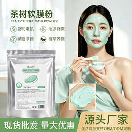 菲诗娅茶树软膜粉细腻毛孔清洁保湿面膜粉美容院专用涂抹面膜批发
