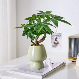 帣Ȥlؔk҃愓Gֲ՚ֲؔԢ