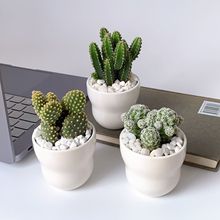 С�Gֲ�҃������򻨻����������ƶ�����B���控��M��С����ֲ��