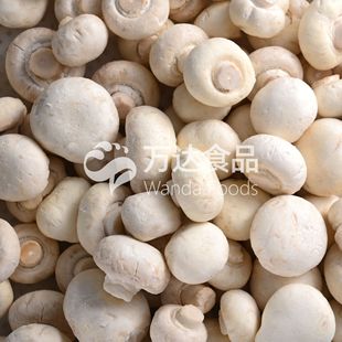 �ك��p�߹� �����Ģ�� �ڹ������¼��p�߹����Sֱ�N�������l