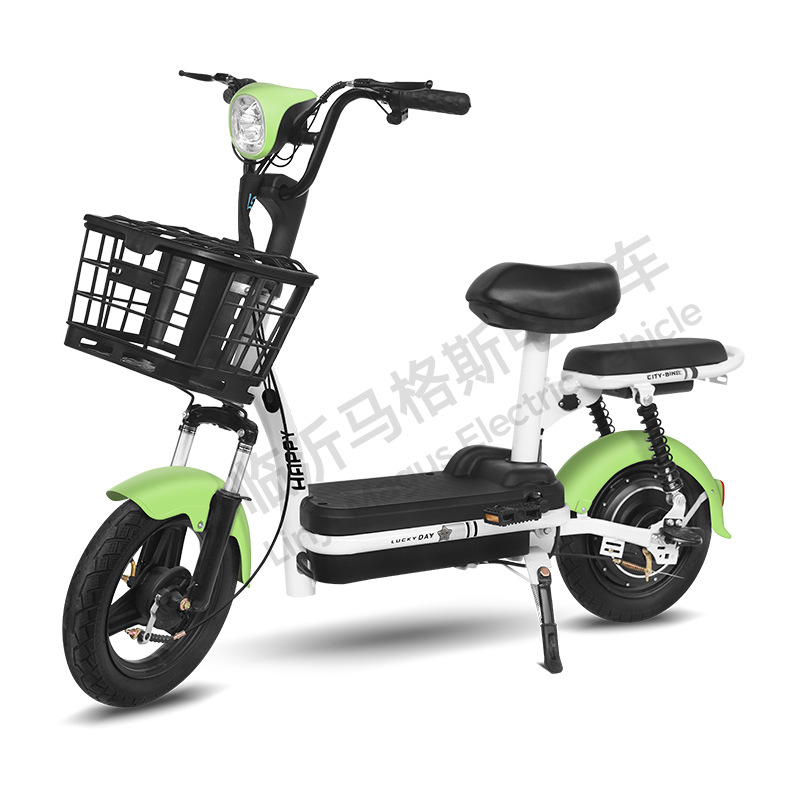 Fabricante de automóviles eléctricos príncipe venta directa bicicleta eléctrica para adultos coche de batería doble bicicleta de dos ruedas de alta duración