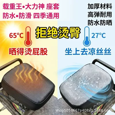 Cover for Electric Vehicles — Electric car cushion