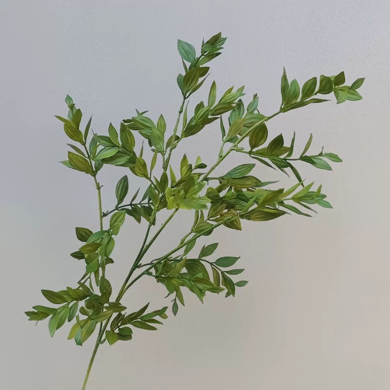 3갈래의 황실 첩 잔디 - 황록색