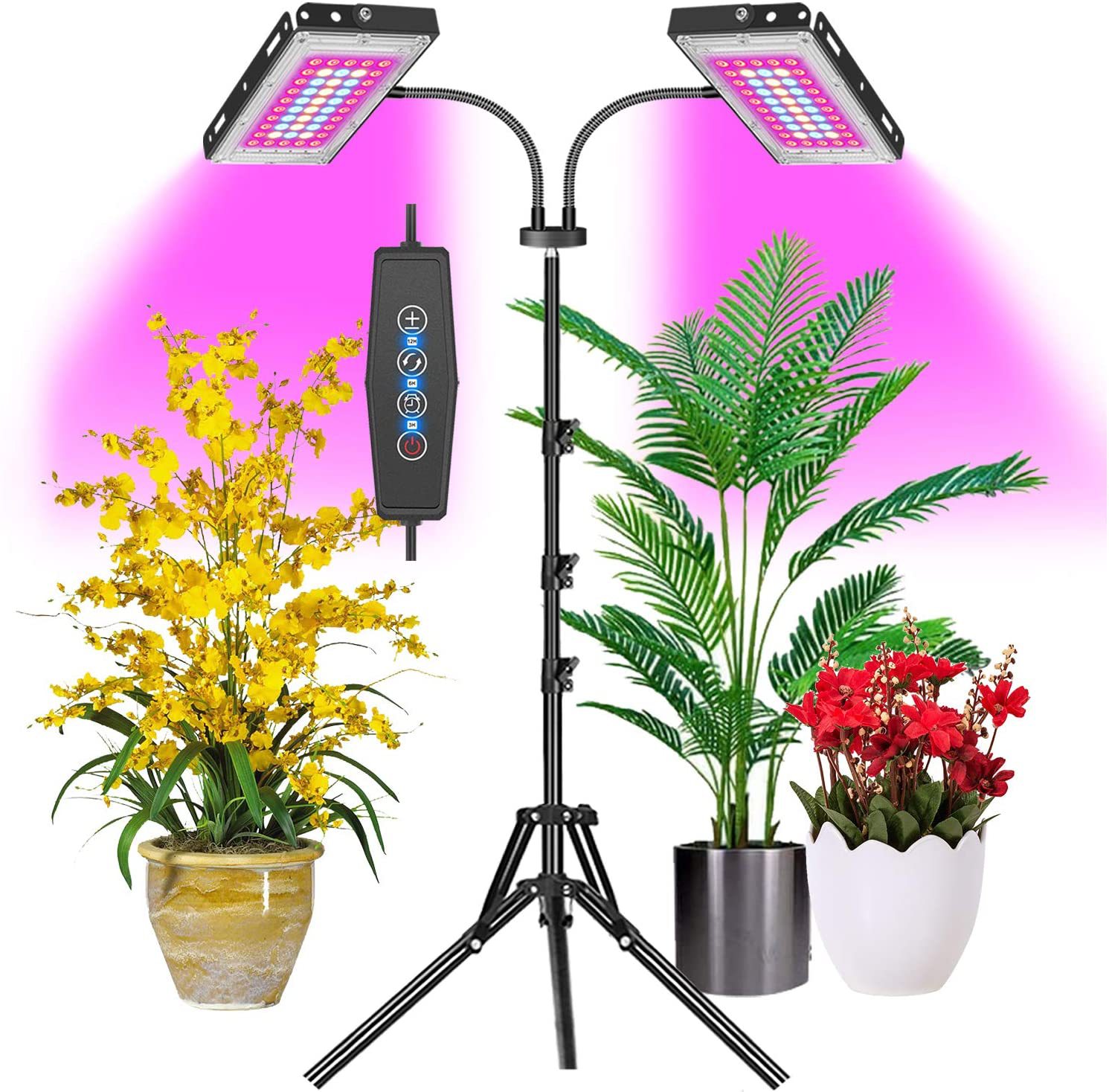 81FvsnDdklL._AC_SL1500_