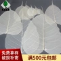 叶脉菩提书签叶脉画