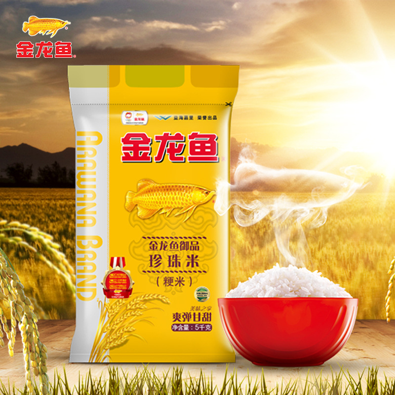 敖瑞鹏简介