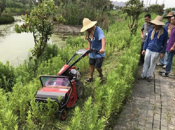 自走式轮式割草机 手扶式草坪机 日本筑水MH60田园管理机园林机