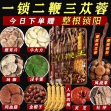 ��ʿ�ݾ�ș���������a�˅���ș��ʮȫ�a���B��ș���ͶY�ݾ��ײ�