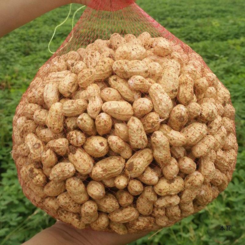 5斤装现挖新鲜花生生花生湿花生水煮花生3斤花生带壳跨境电商