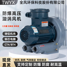 FB-2粉尘防爆高压风机2.2KW变频隔爆旋涡鼓风机CT4BT4真空式风泵