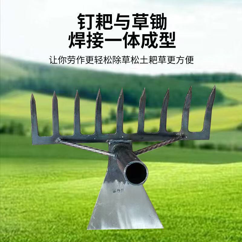 微信图片_202505070950584.jpg