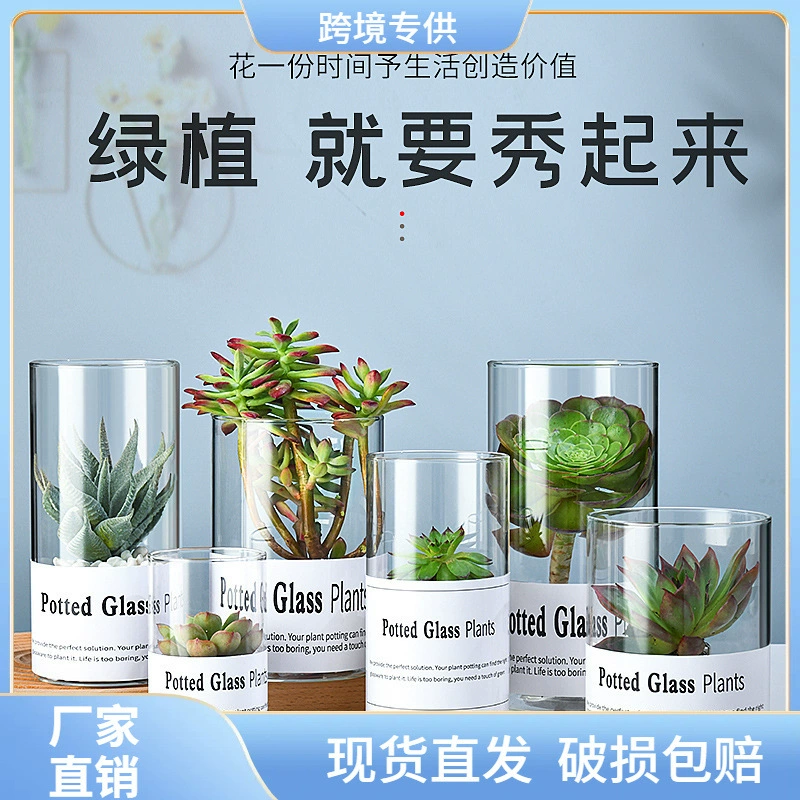 Оптовая продажа: стеклянная ваза в стиле инстаграм, настольная гидропонная емкость для растений, экологичная прозрачная бутылка, горшок для суккулентов, пищевая стеклянная банка