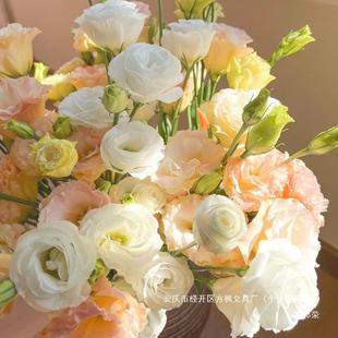 Multi-Head Base Mix and Match Flowers, Roses, Straight Hair, Thorn-Free Gift Manufacturers, Decorate Living Room, Set up Stalls, Free Shipping, Water Platycodon