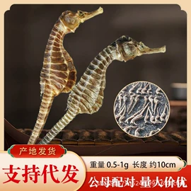 其他农业;水产干货类;水产种苗