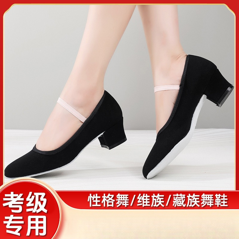 Character Dance Shoes with Laces, Representative Dance Shoes for Exams, Ballet Practice Shoes, Dance Shoes for Women, Soft Sole, Black, Teacher's Shoes