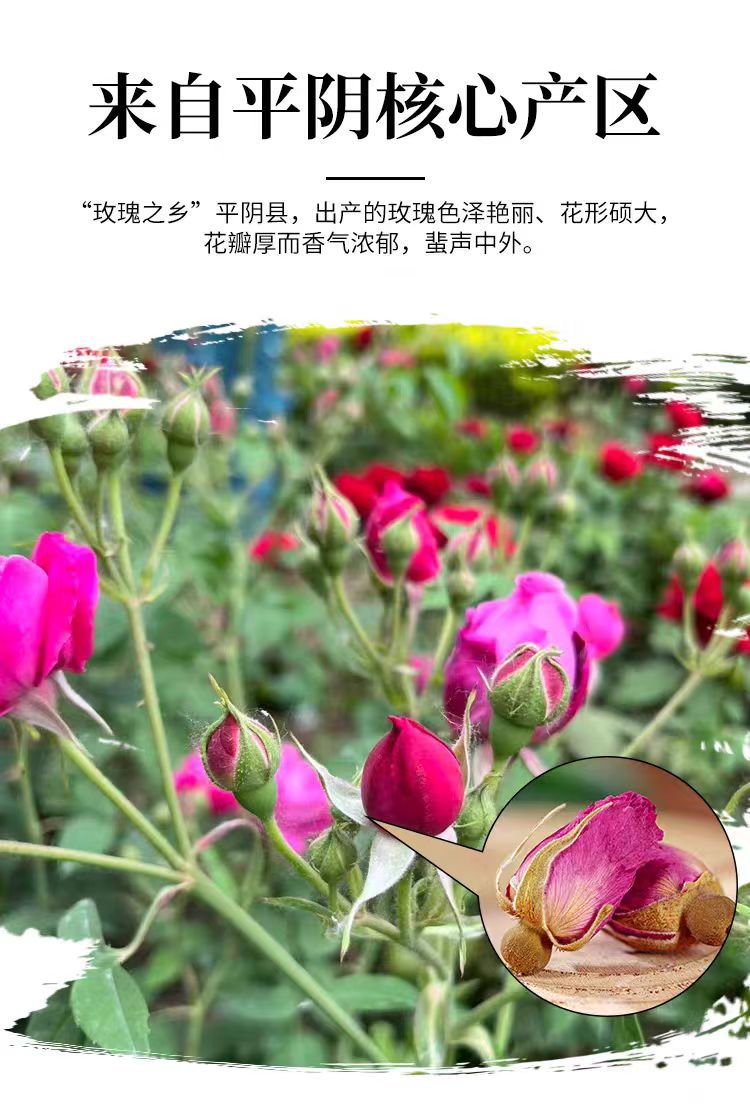 Pingyin Rose Buds (Rosa rugosa) — Sun-Dried Sulfur-Free Rose Tea, 500g overview