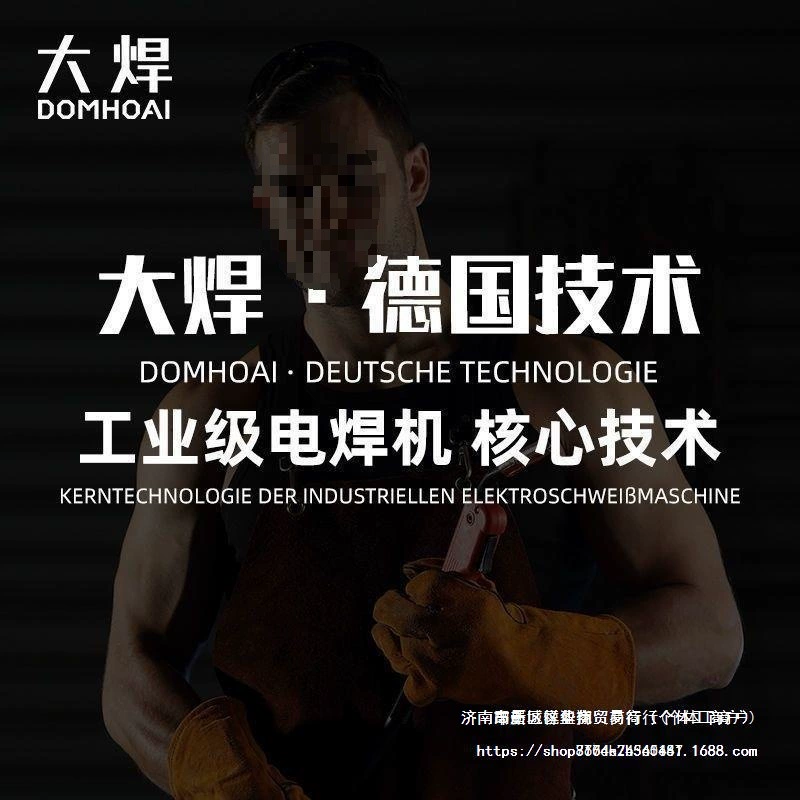 Large welding WS-250 arc welding machine German technology 220V home small stainless steel dual-use multi-function welding machine