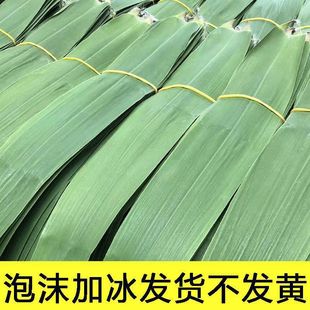 Fresh Large Wild Rice Leaves for Large Meat Zongzi, Mango Leaves for Dragon Boat Festival, Large Rice Leaves, Reed Leaves